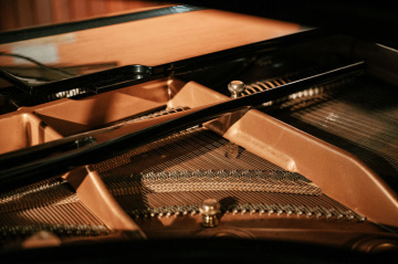 Gallery - Wauchope Arts